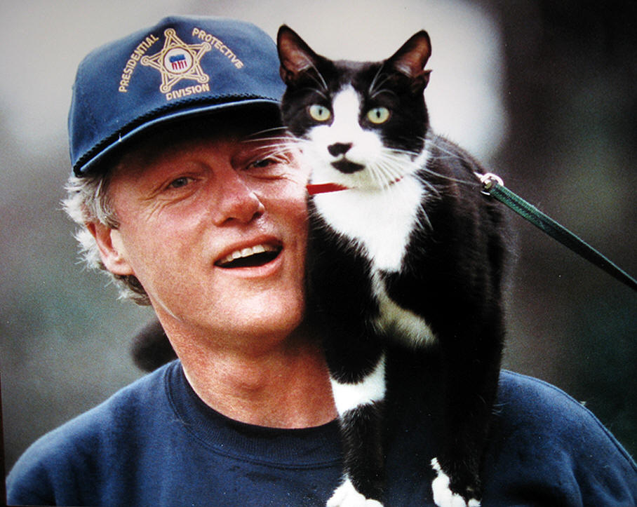 bill clinton is cool cat