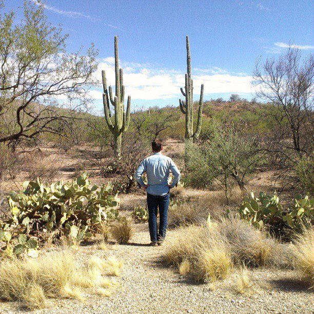 Tucson Saguaro National Park 