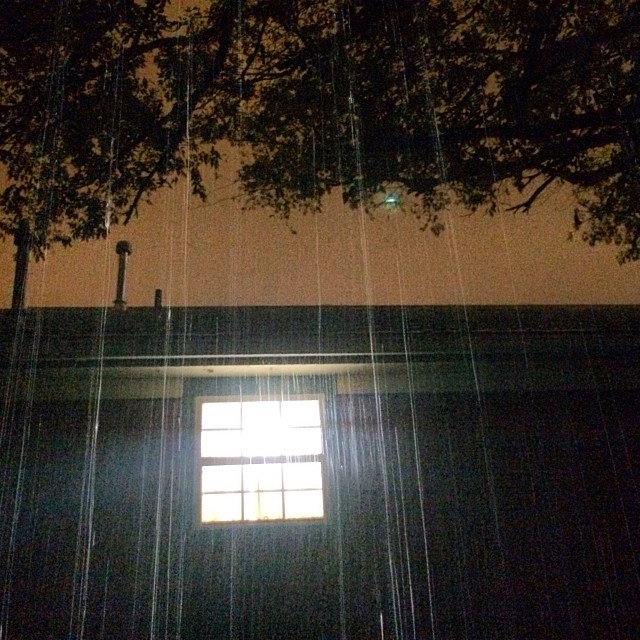 Austin rain