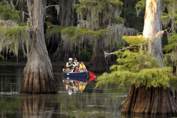 Caddo Lake 