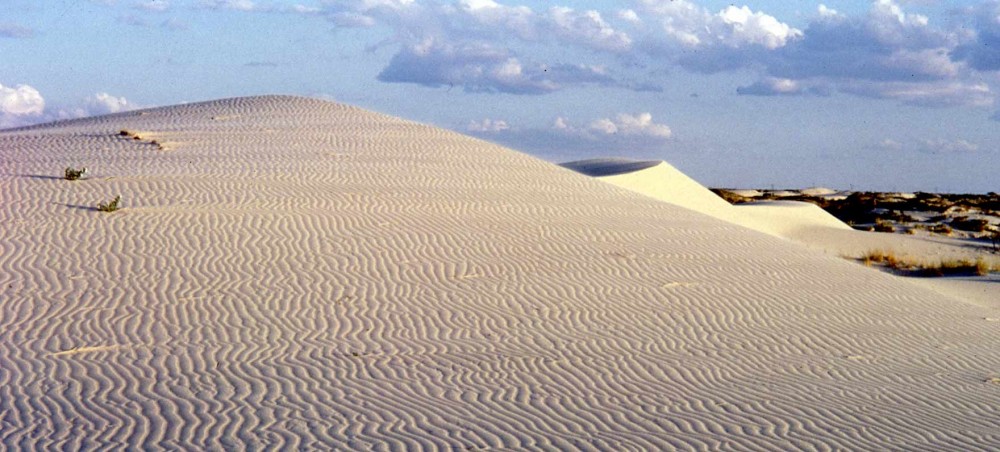 Monahans sand dunes